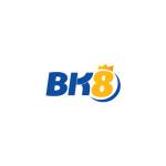 bk8thblog Profile Picture