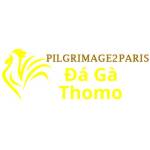 Đá Gà Trực Tiếp Thomo Profile Picture