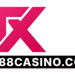 tx88csncomnz Profile Picture