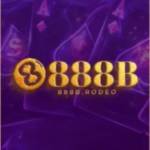 888b rodeo Profile Picture