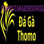 Đá Gà Trực Tiếp Thomo Profile Picture