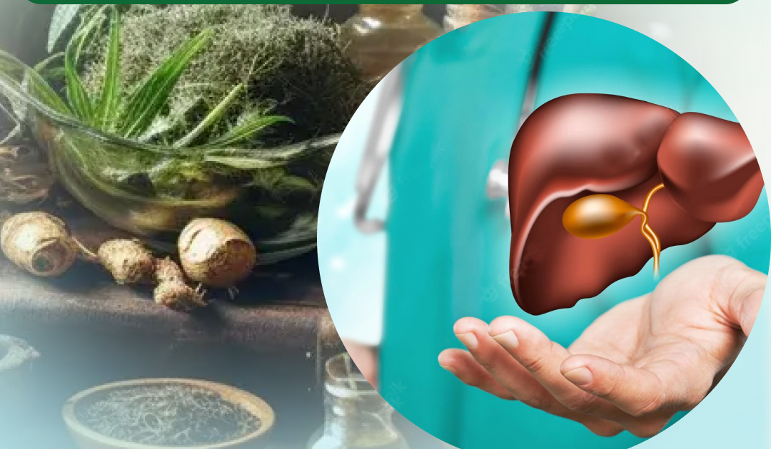 Why Choose an Ayurvedic Hospital for Liver Treatment in Kurukshetra?