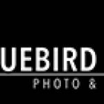 Bluebird Studio - Photography, Video, Selfie Mirro Profile Picture