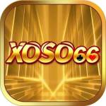 Xoso66 **** Profile Picture