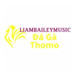 Đá Gà Trực Tiếp Thomo Profile Picture