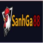 Sanhga88 store Profile Picture