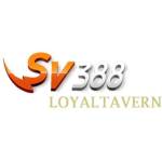 SV388 Profile Picture