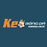 Kèo bóng đá Profile Picture