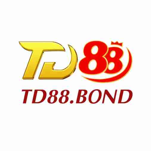 TD88 Profile Picture