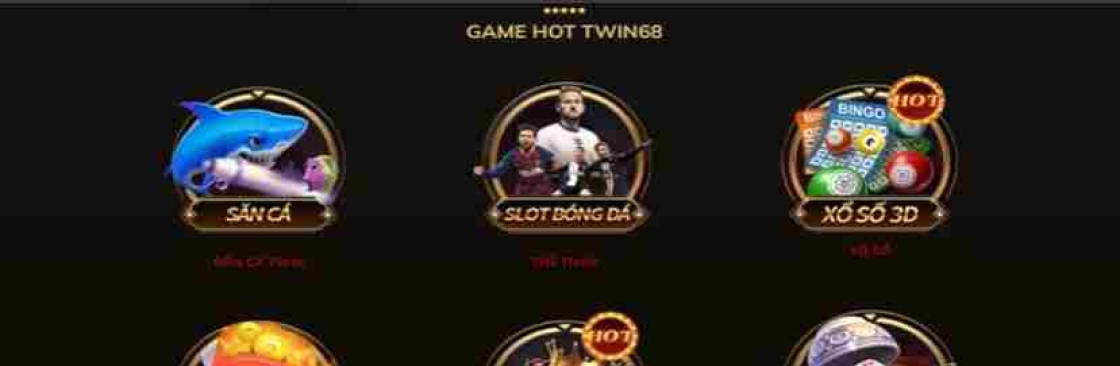 Twin68 Cover Image