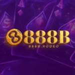 888B Rodeo Profile Picture