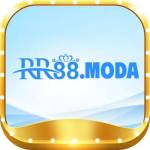 rr88 moda Profile Picture