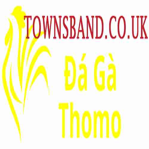 Đá Gà Trực Tiếp Thomo Profile Picture