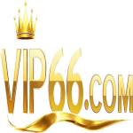 Vip66 trade Profile Picture