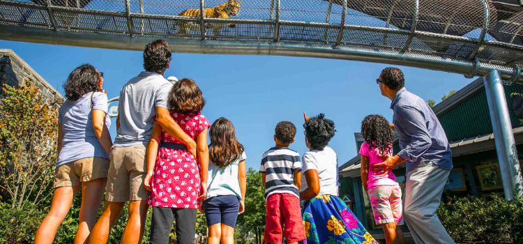 10 Family-Friendly Getaways in Mexico You Can Easily Fly To