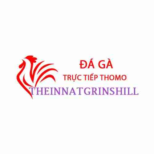 Đá Gà Trực Tiếp Thomo Profile Picture
