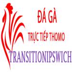 Đá Gà Trực Tiếp Thomo Profile Picture