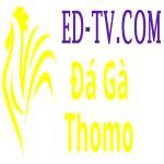 Đá Gà Trực Tiếp Thomo Profile Picture