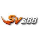 SV388 Profile Picture