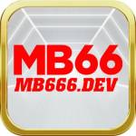 MB66 DEV Profile Picture