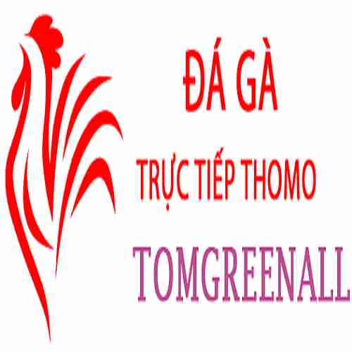 Đá Gà Trực Tiếp Thomo Profile Picture