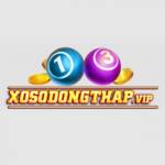Xổ số Đồng Tháp Profile Picture