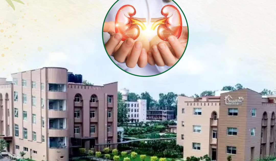 Which Is the Most Trusted Ayurvedic Hospital for Kidney Failure in Meerut?