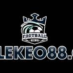 tylekeo88cc Profile Picture