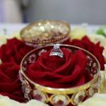 anayah khan Profile Picture