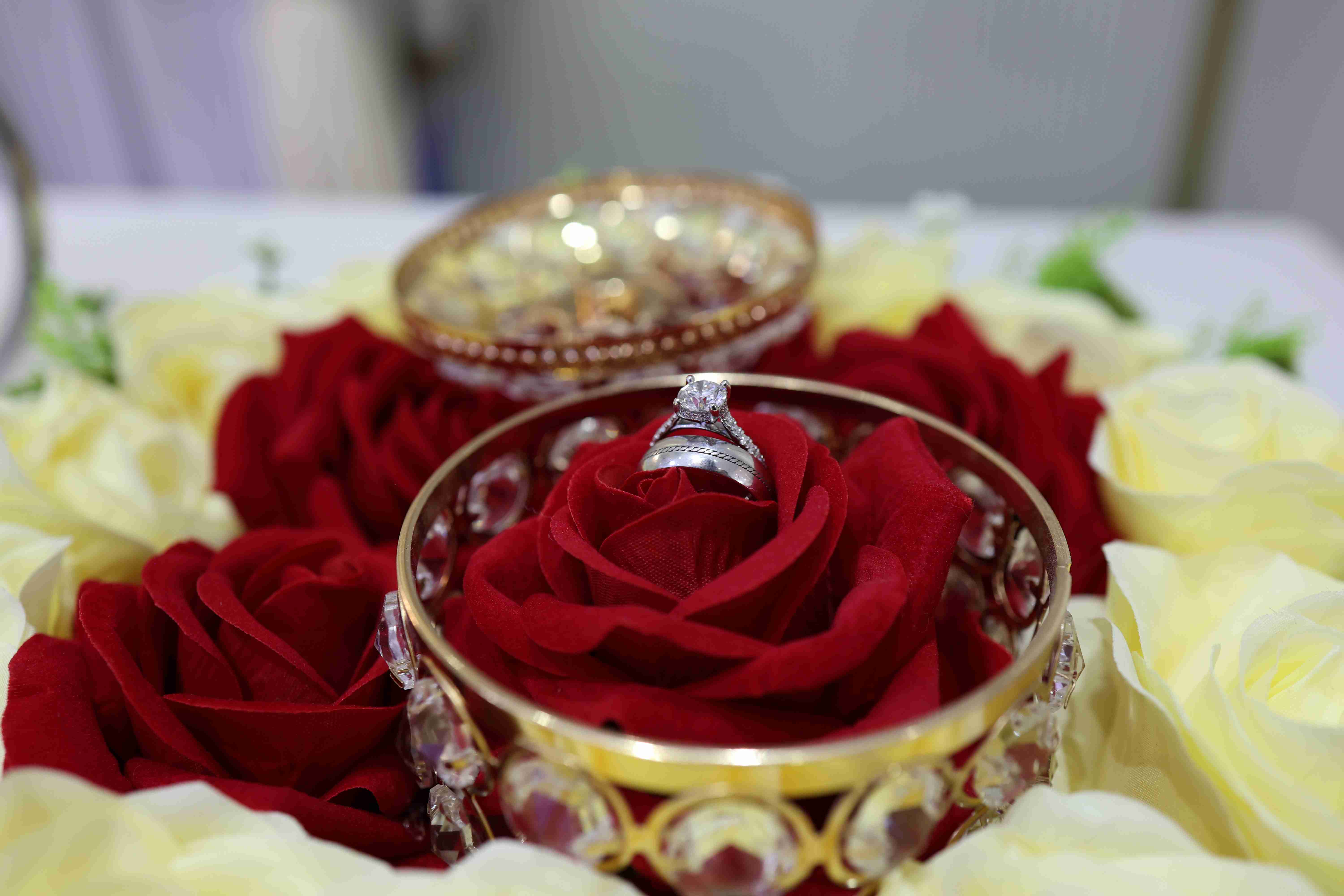 anayah khan Profile Picture