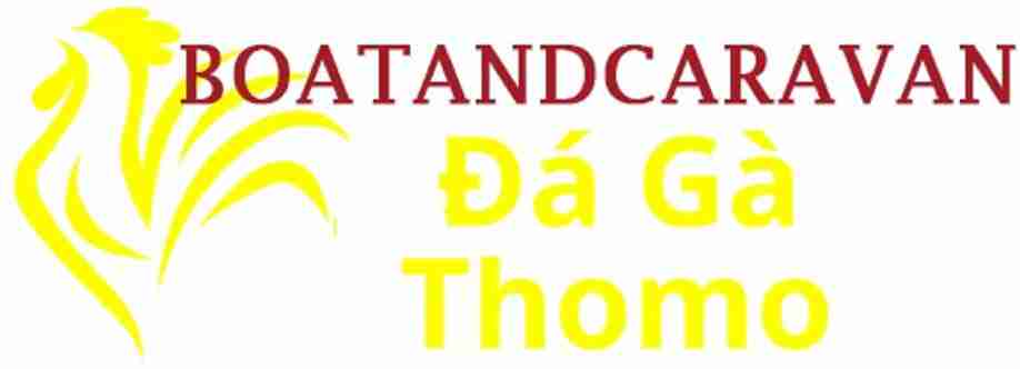 Đá Gà Trực Tiếp Thomo Cover Image