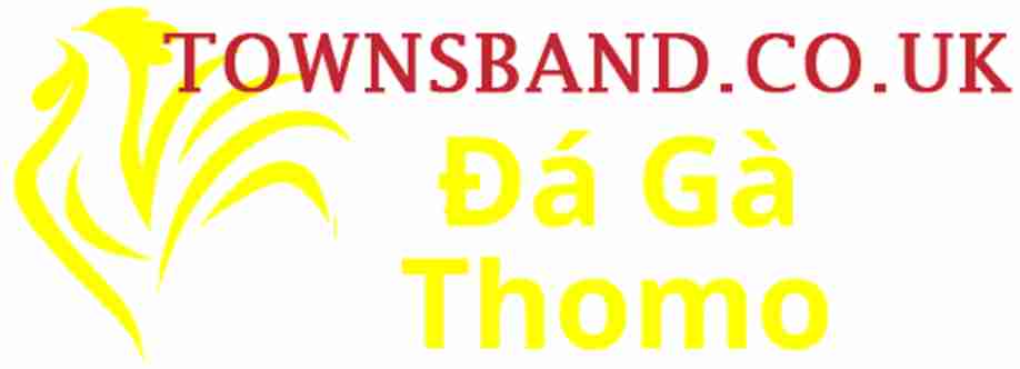 Đá Gà Trực Tiếp Thomo Cover Image