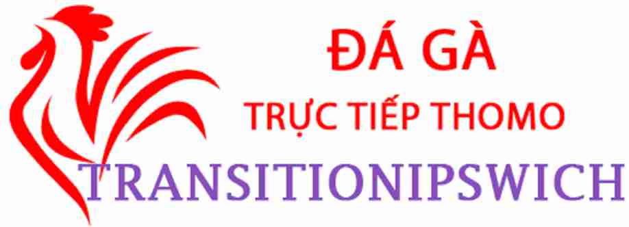Đá Gà Trực Tiếp Thomo Cover Image
