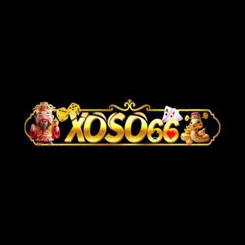 xoso66 trading Profile Picture