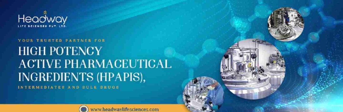 Headway Life Sciences Pvt. Ltd. Cover Image