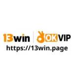 13WIN Profile Picture