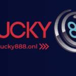 Nhà Đài Lucky88 Profile Picture