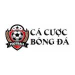 Trang cá cược bóng đá blogideashk Profile Picture
