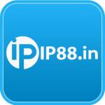 ip88 in profile picture