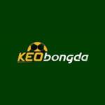 KÈO BÓNG ĐÁ Profile Picture