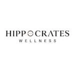 Your Path to Wellness: Inside a Modern Healing Experience -  TheOmniBuzz
