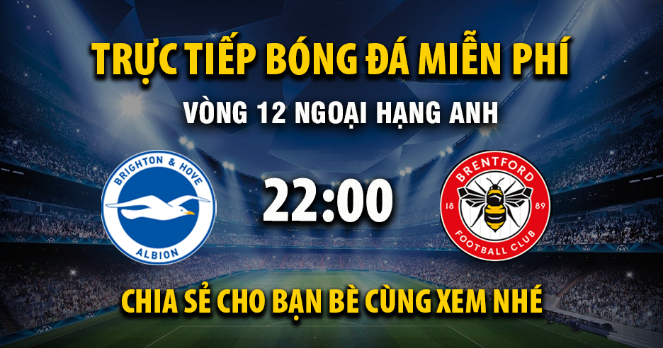 Link trực tiếp Brighton vs Brentford 22:00, ngày 22/11 - Xoilac365.tv