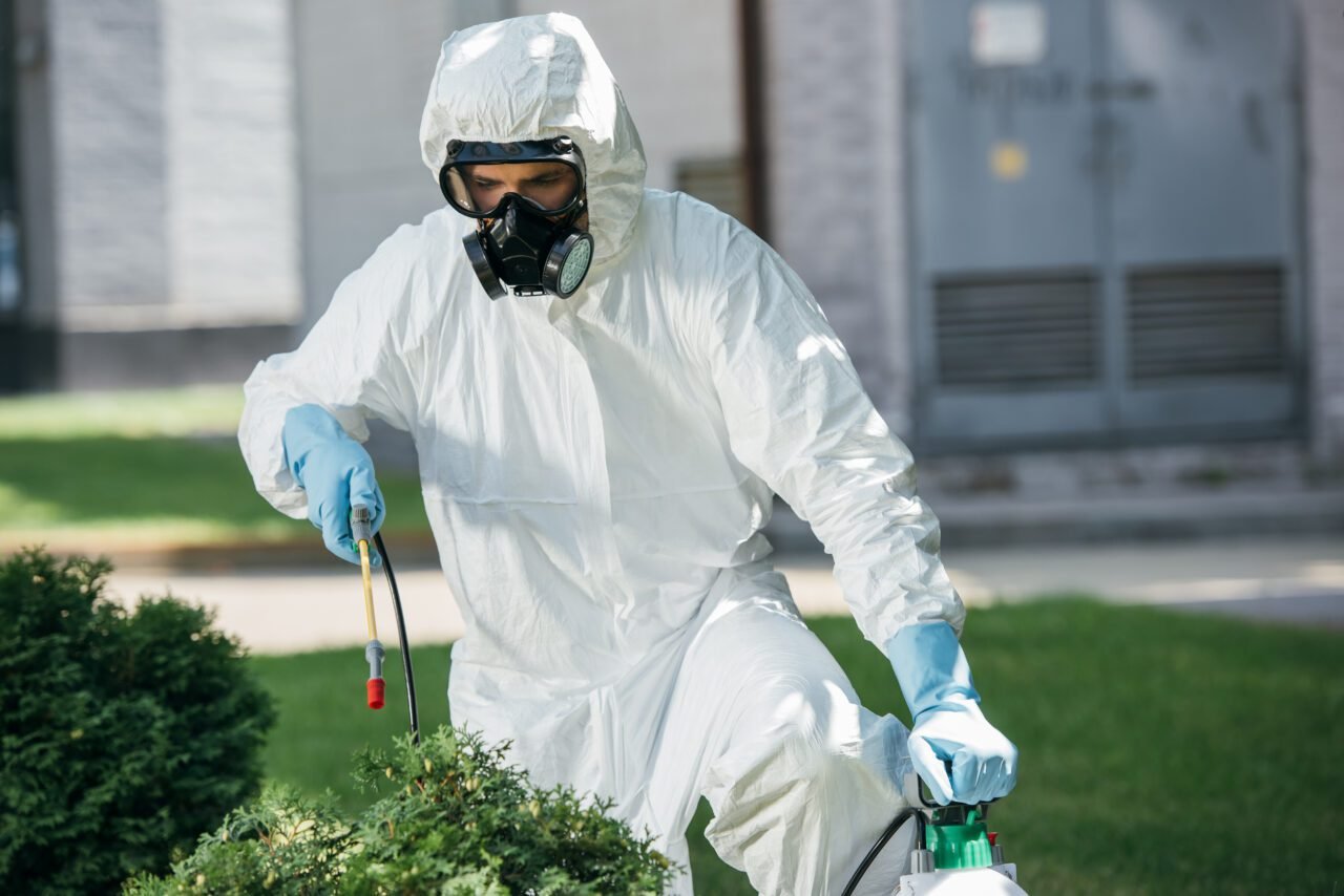 Pest Control In Pasadena CA | Best Pasadena Exterminator