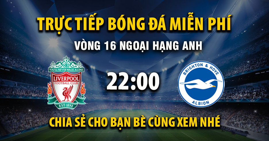 Link trực tiếp Liverpool vs Brighton 22:00, ngày 13/12 - Xoilac365.tv