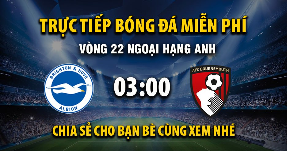 Trực tiếp Brighton vs AFC Bournemouth lúc 03:00, ngày 20/01 -