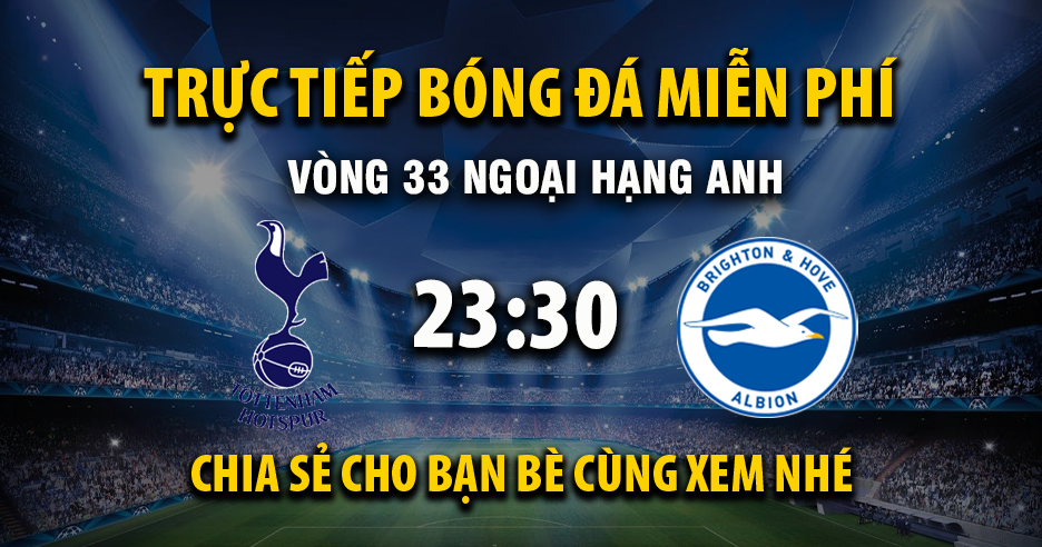 Trực tiếp Tottenham vs Brighton lúc 23:30, ngày 18/04 -