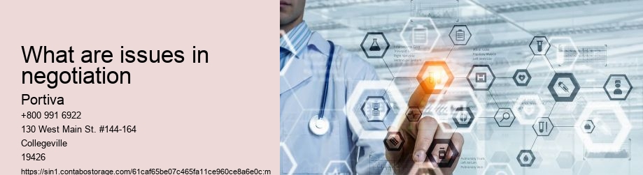 What are issues in negotiation