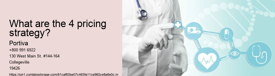 What are the 4 pricing strategy?