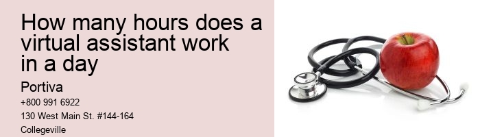 How many hours does a virtual assistant work in a day