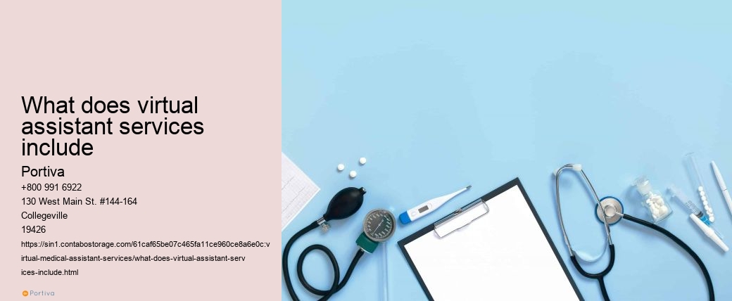 What does virtual assistant services include